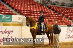 18BUCK_00586 proof