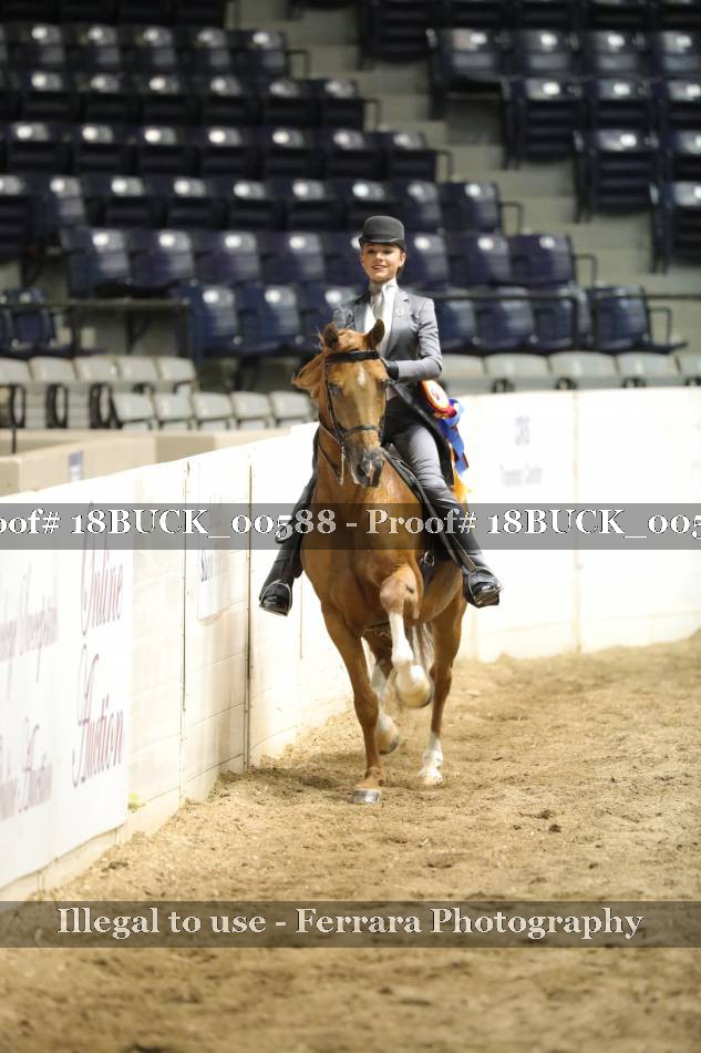 Proof 18BUCK_00588