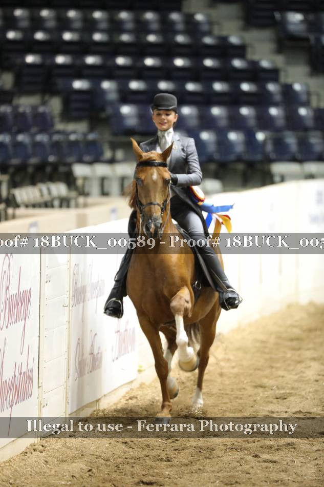 Proof 18BUCK_00589