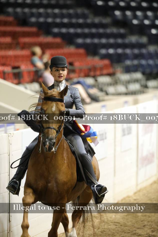 Proof 18BUCK_00591