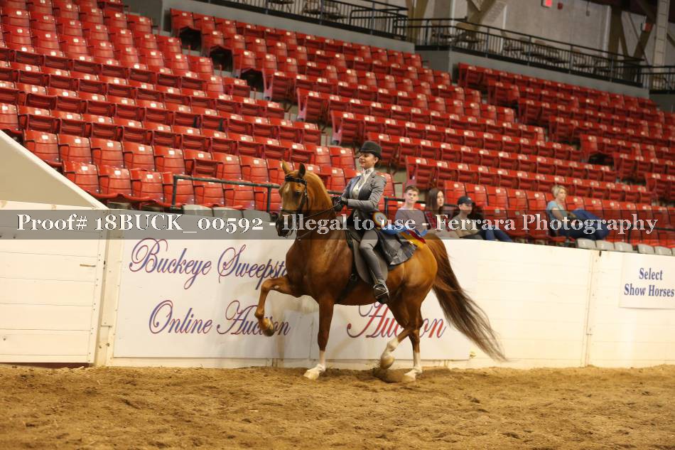Proof 18BUCK_00592