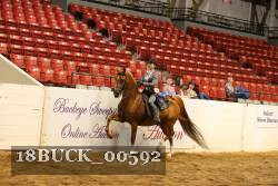 18BUCK_00592 proof