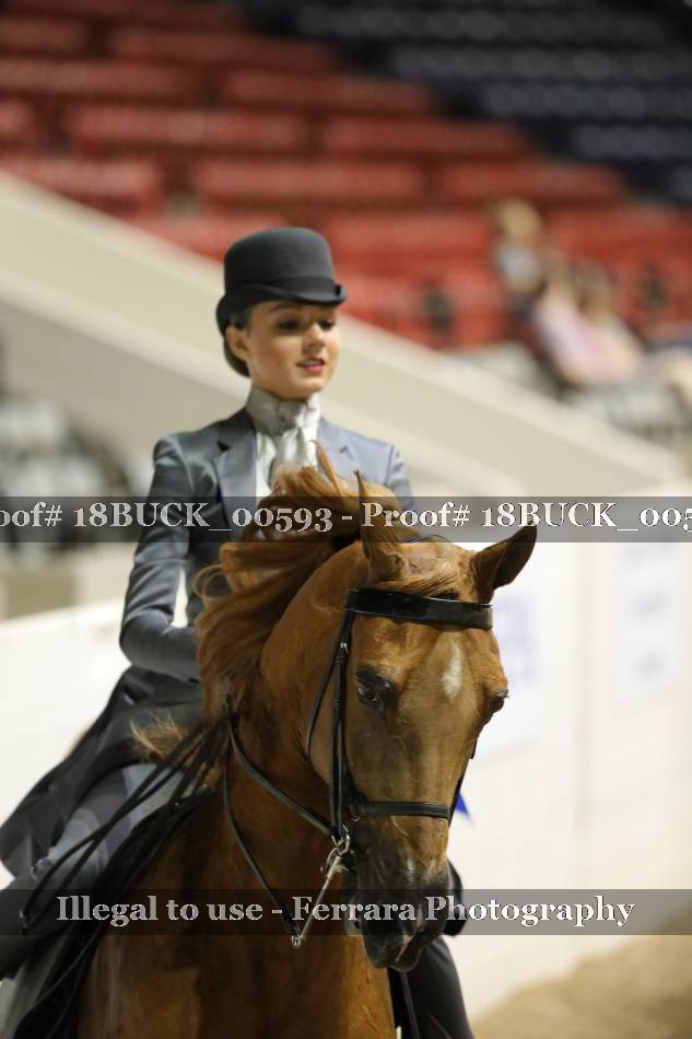Proof 18BUCK_00593
