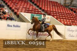 18BUCK_00594 proof