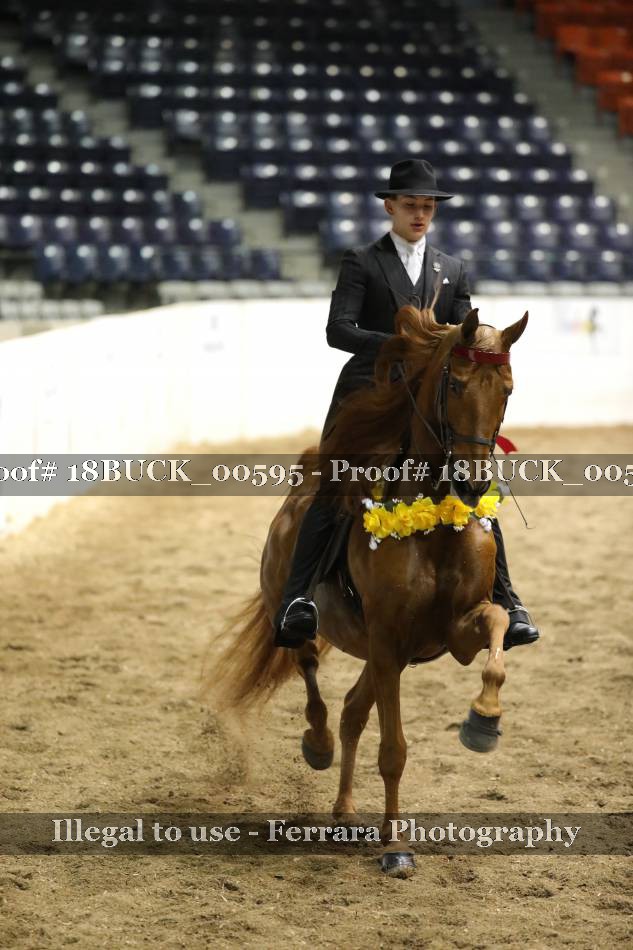 Proof 18BUCK_00595
