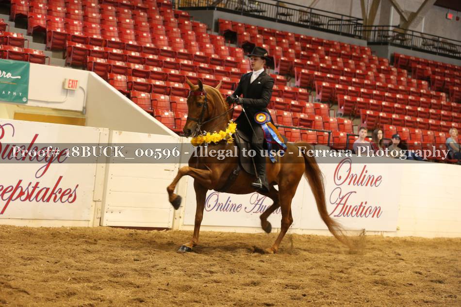 Proof 18BUCK_00596