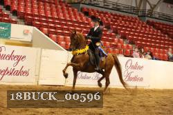 18BUCK_00596 proof