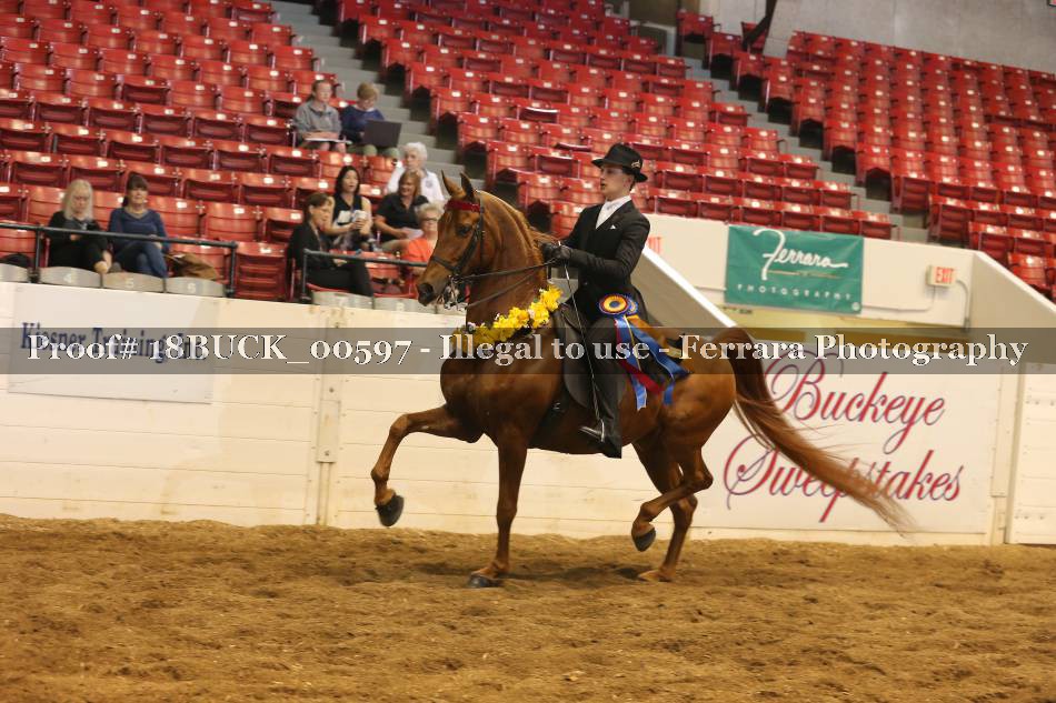 Proof 18BUCK_00597