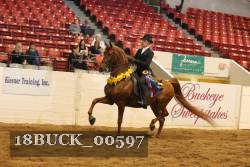 18BUCK_00597 proof
