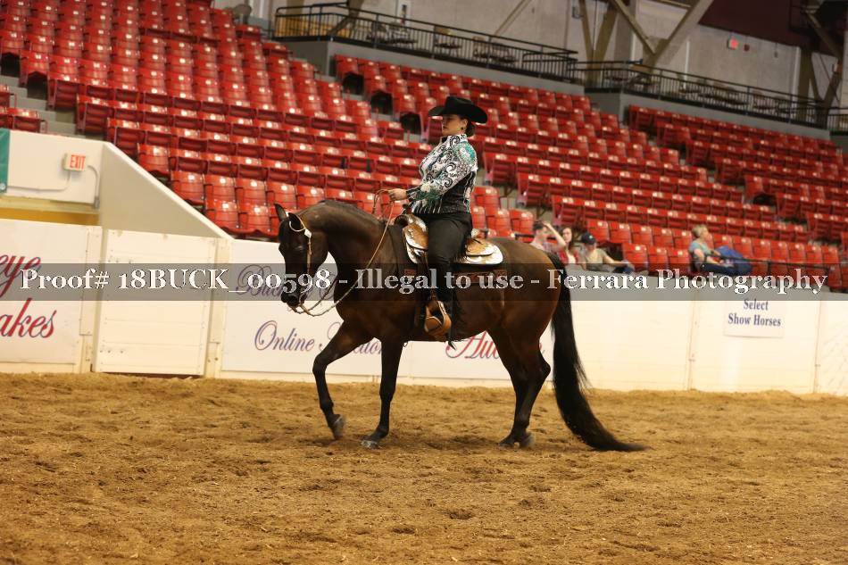 Proof 18BUCK_00598