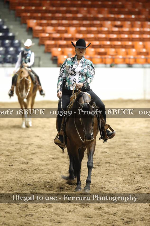 Proof 18BUCK_00599