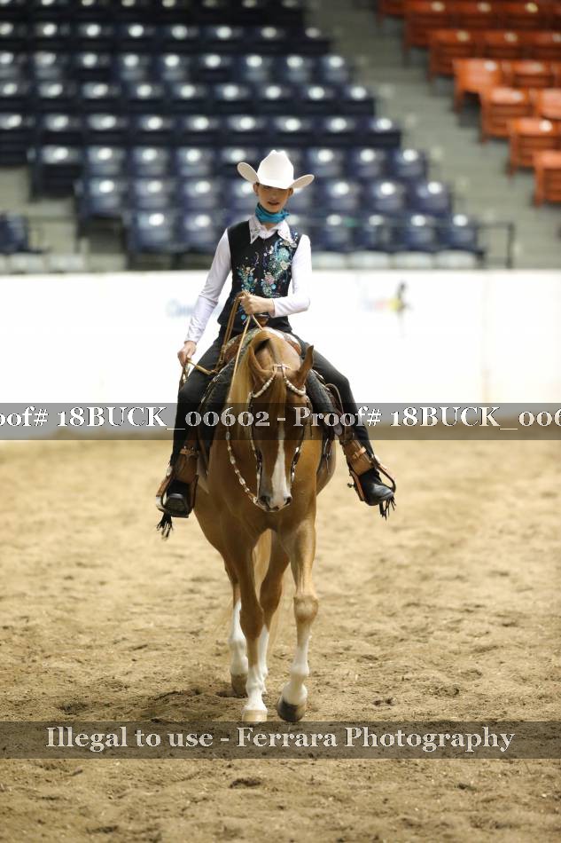 Proof 18BUCK_00602