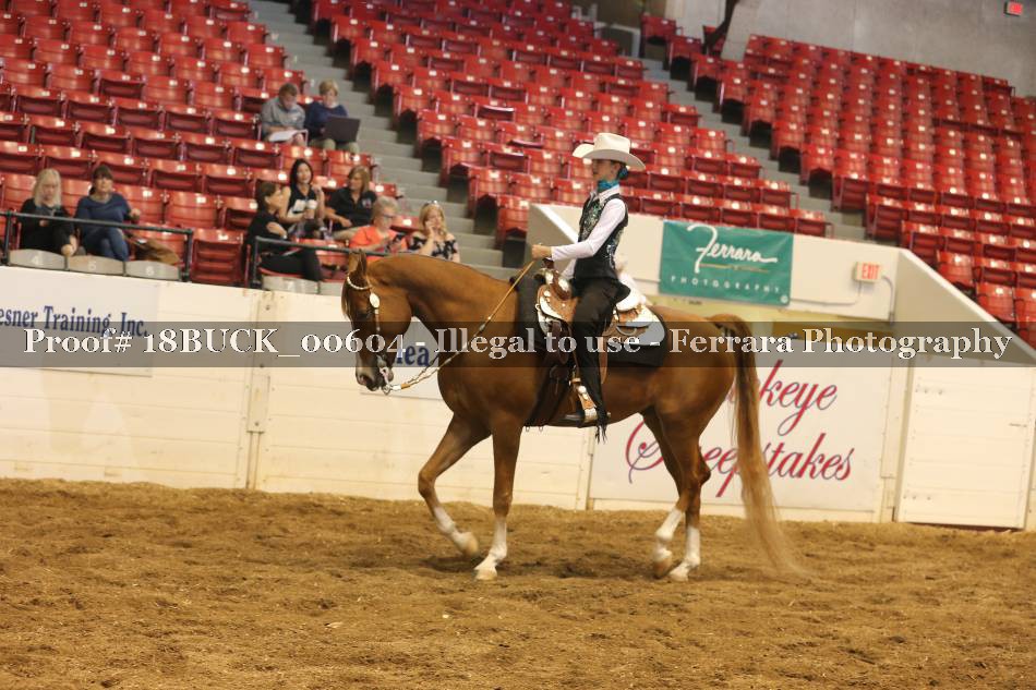 Proof 18BUCK_00604