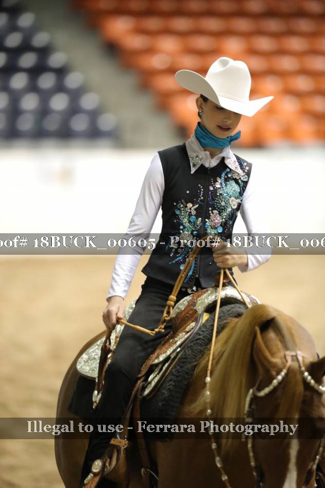 Proof 18BUCK_00605