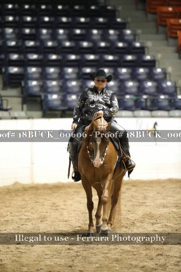 Proof 18BUCK_00606