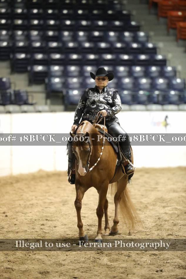 Proof 18BUCK_00607