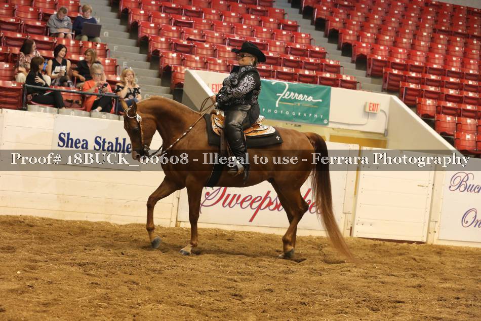 Proof 18BUCK_00608