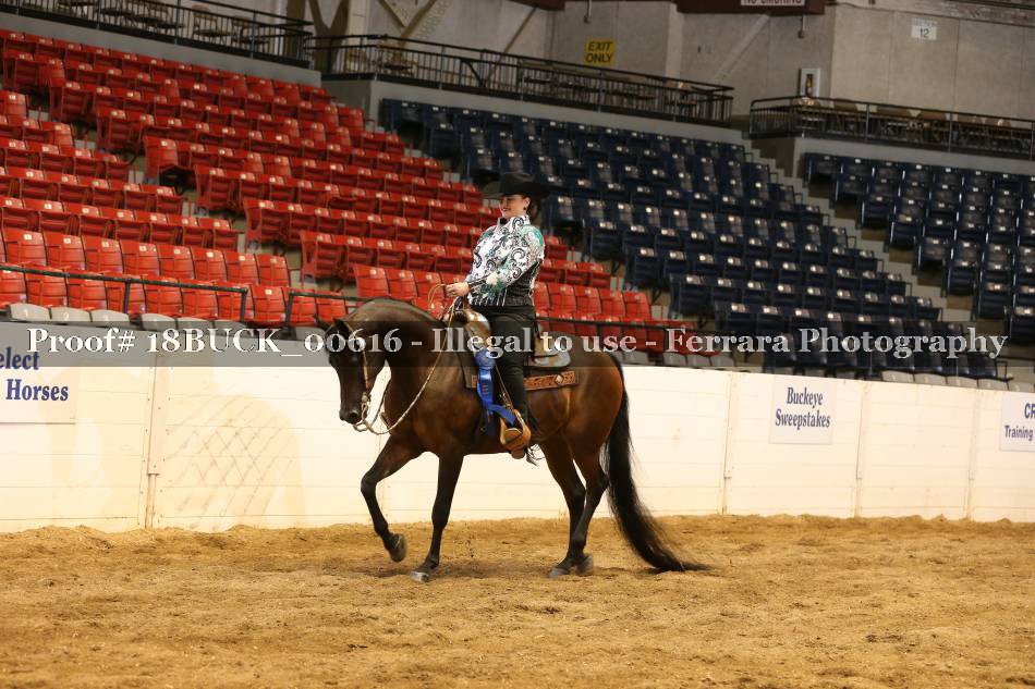 Proof 18BUCK_00616