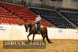 18BUCK_00616 proof