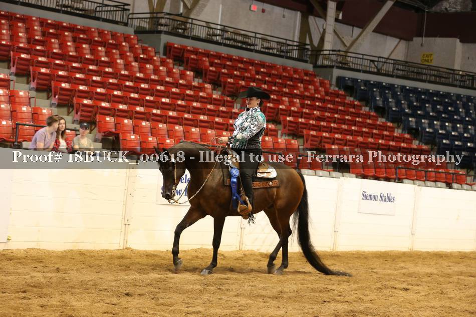 Proof 18BUCK_00618