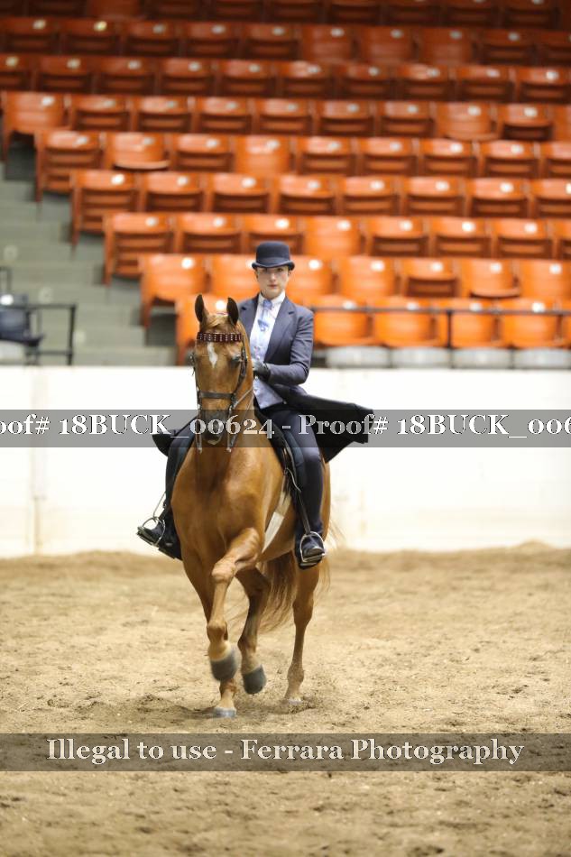 Proof 18BUCK_00624