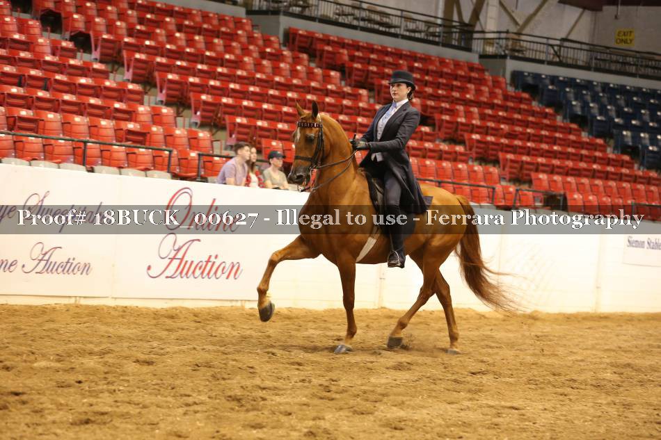 Proof 18BUCK_00627