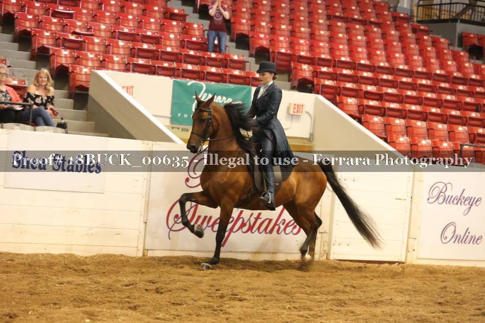 Proof 18BUCK_00635