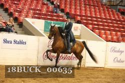 18BUCK_00635 proof