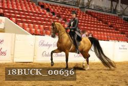 18BUCK_00636 proof