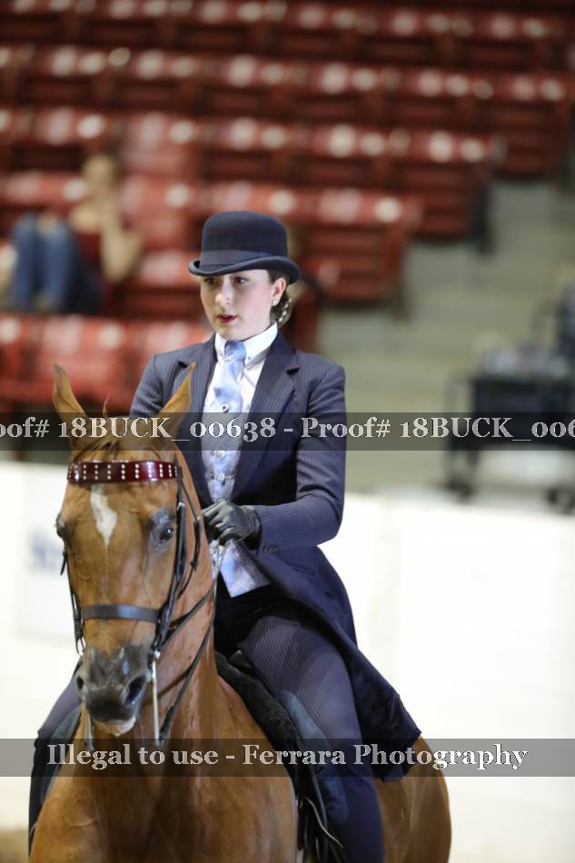 Proof 18BUCK_00638