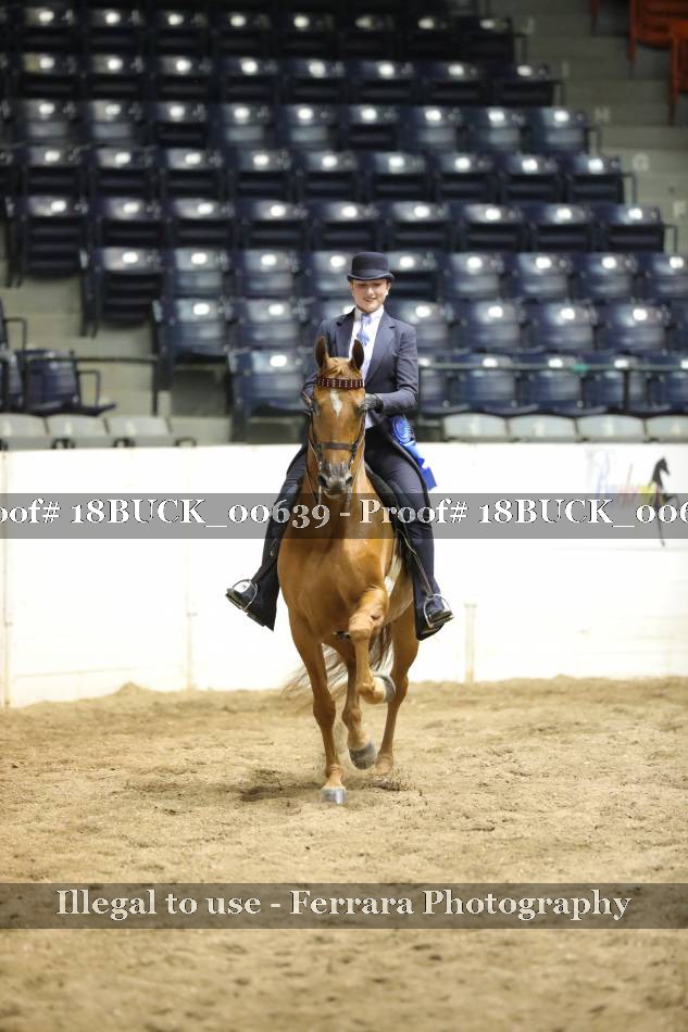 Proof 18BUCK_00639