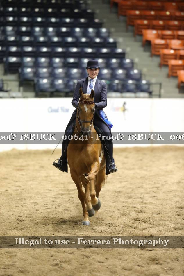 Proof 18BUCK_00641