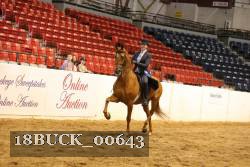 18BUCK_00643 proof