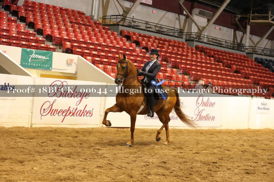 Proof 18BUCK_00644