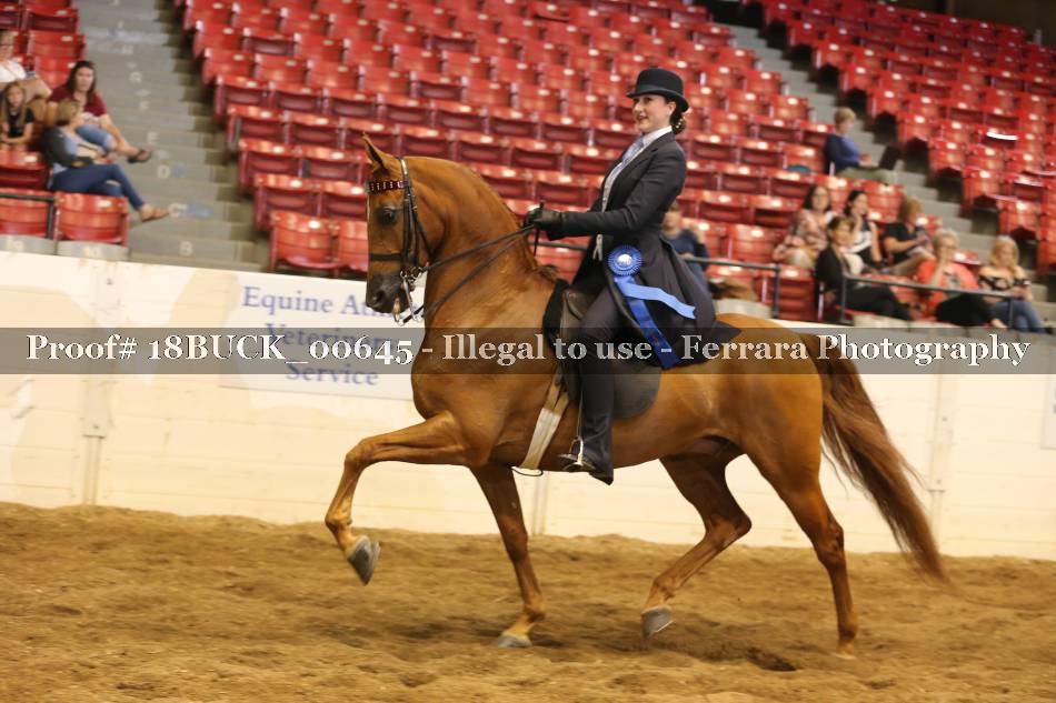 Proof 18BUCK_00645