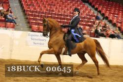 18BUCK_00645 proof