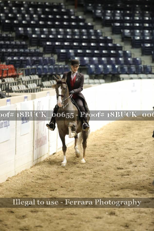 Proof 18BUCK_00655