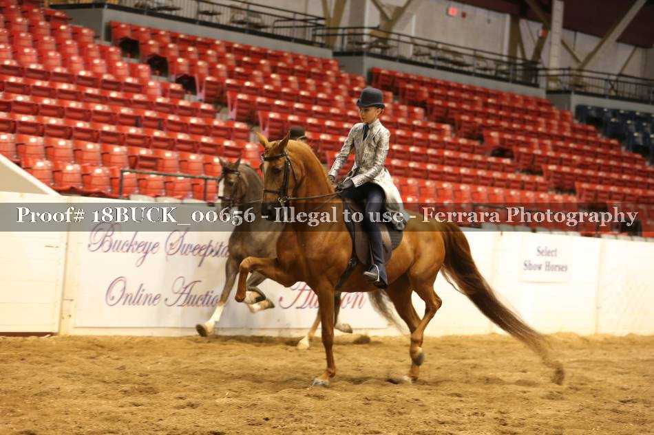 Proof 18BUCK_00656