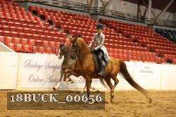 18BUCK_00656 proof