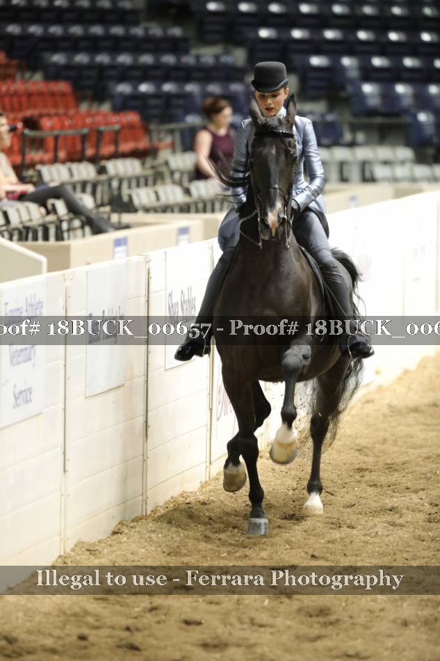 Proof 18BUCK_00657