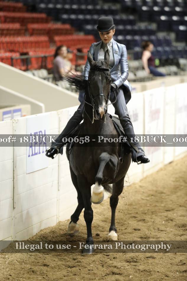 Proof 18BUCK_00658
