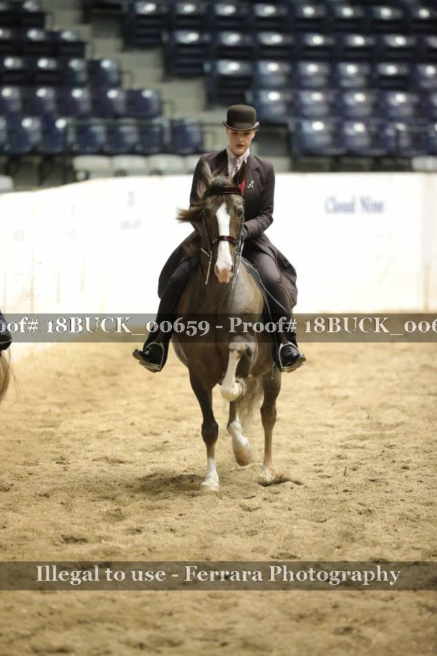 Proof 18BUCK_00659