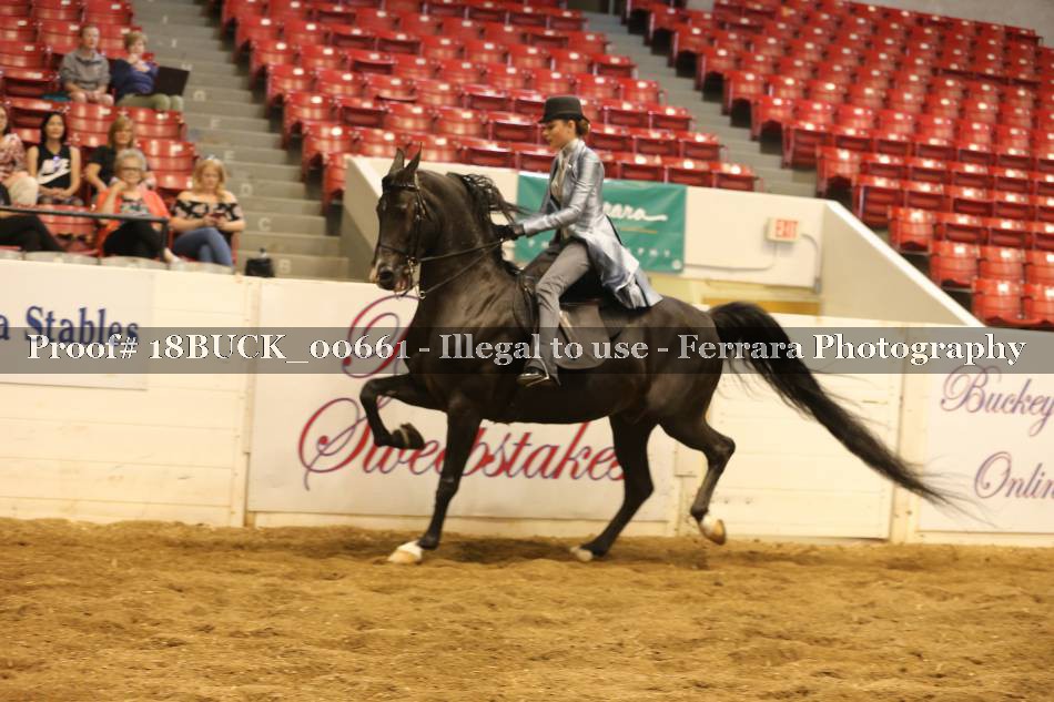 Proof 18BUCK_00661
