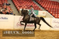 18BUCK_00661 proof