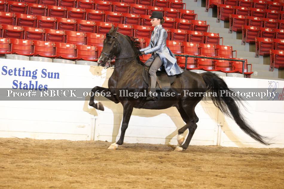 Proof 18BUCK_00662