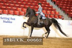 18BUCK_00662 proof