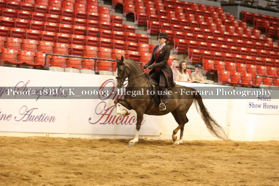 Proof 18BUCK_00663