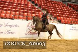 18BUCK_00663 proof