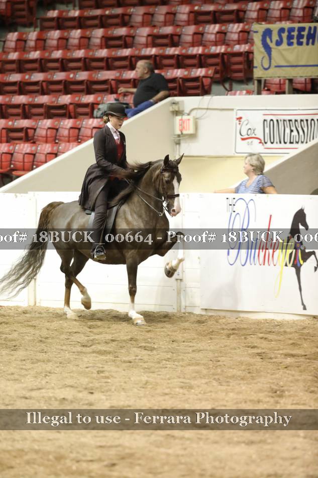 Proof 18BUCK_00664