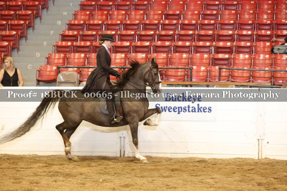 Proof 18BUCK_00665